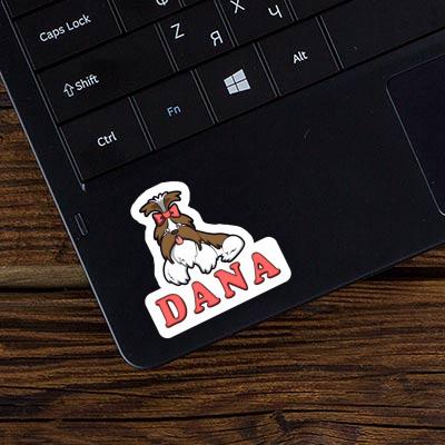 Sticker Dana Shih Tzu Laptop Image