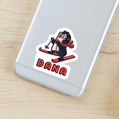 Skier Sticker Dana Gift package Image