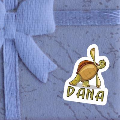 Autocollant Dana Tortue Gift package Image