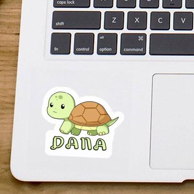 Autocollant Tortue Dana Laptop Image