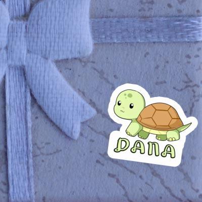 Autocollant Tortue Dana Gift package Image