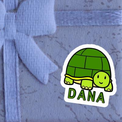 Sticker Turtle Dana Gift package Image