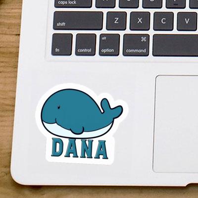 Sticker Dana Whale Fish Image