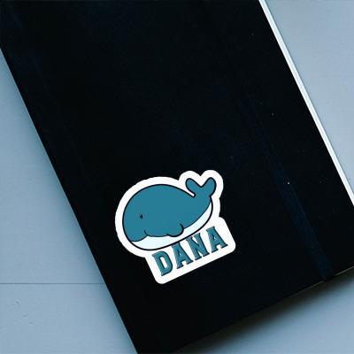 Sticker Dana Whale Fish Gift package Image