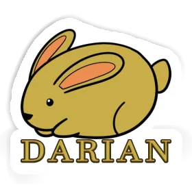 Autocollant Darian Lapin Image