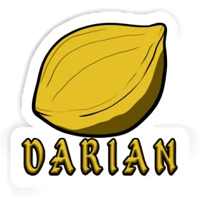 Sticker Nut Darian Image