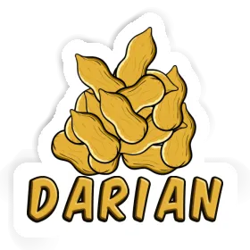 Sticker Darian Nut Image