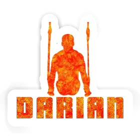 Darian Sticker Ring gymnast Image