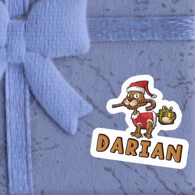 Autocollant Darian Chat Gift package Image