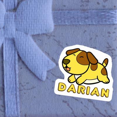 Darian Sticker Dog Gift package Image