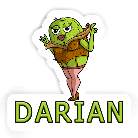 Darian Sticker Kiwi Laptop Image