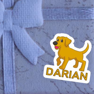 Labrador Autocollant Darian Gift package Image