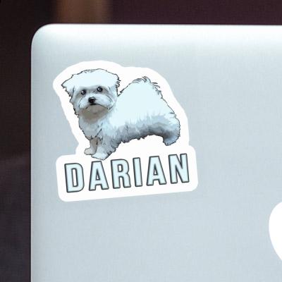 Malteserhund Sticker Darian Image