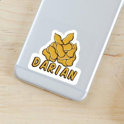 Darian Sticker Erdnuss Gift package Image