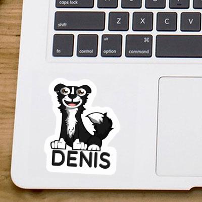 Border Collie Sticker Denis Border Collie Sticker Denis Image