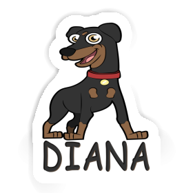 Sticker Diana Pinscher Image