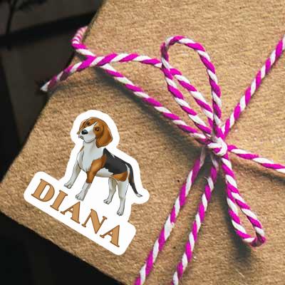 Beagle Aufkleber Diana Gift package Image