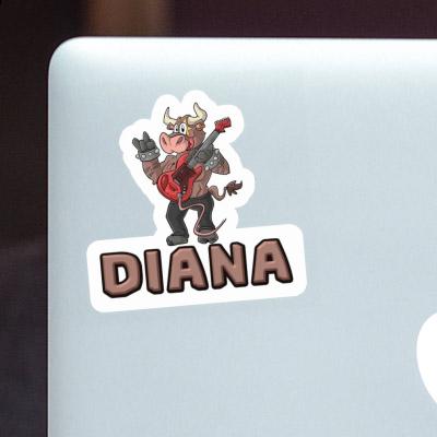 Sticker Guitarist Diana Gift package Image