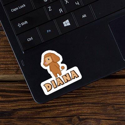 Sticker Poodle Diana Image