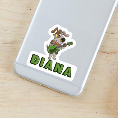 Guitarist Sticker Diana Notebook Image