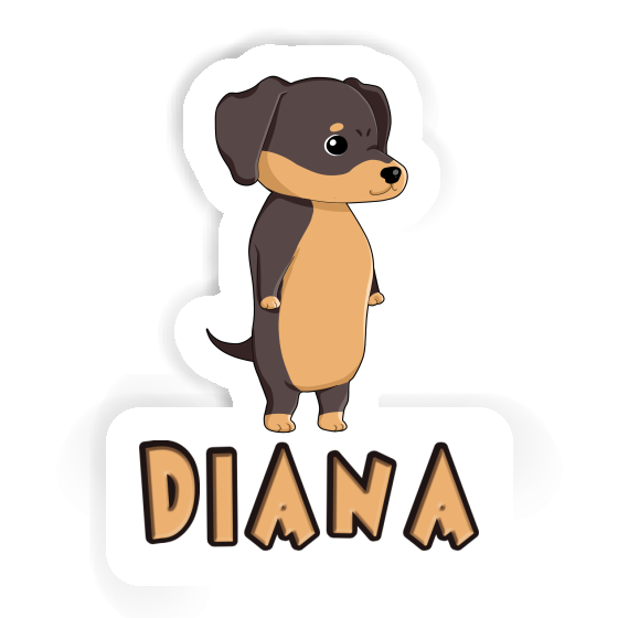 Dachshund Sticker Diana Gift package Image