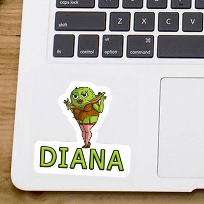 Kiwi Autocollant Diana Gift package Image