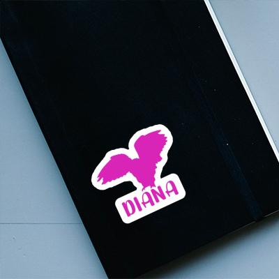 Sticker Eule Diana Gift package Image