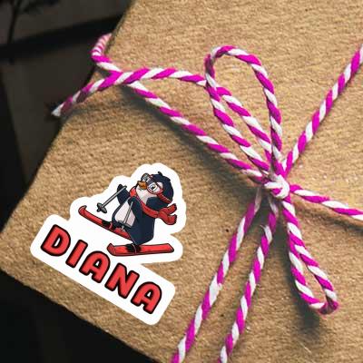 Sticker Skier Diana Gift package Image