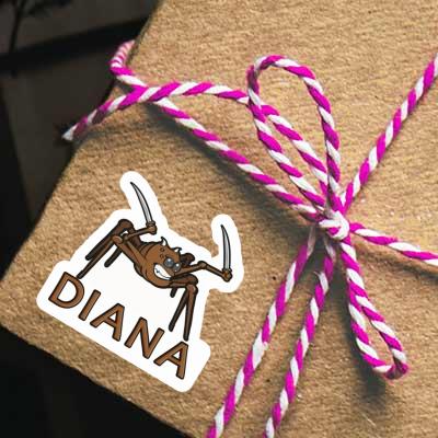 Sticker Diana Spider Gift package Image