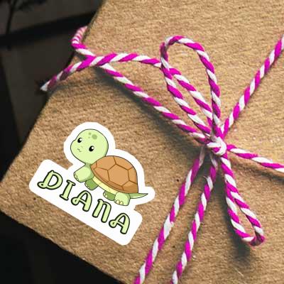 Autocollant Tortue Diana Gift package Image