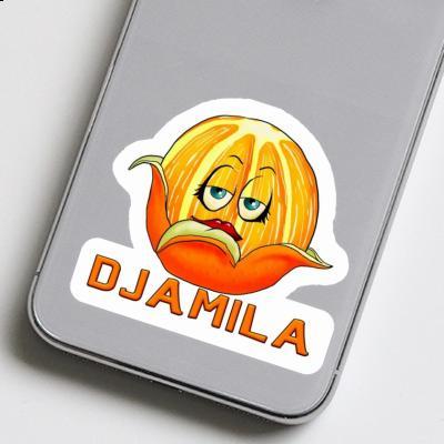 Djamila Autocollant Orange Notebook Djamila Autocollant Orange Gift package Image
