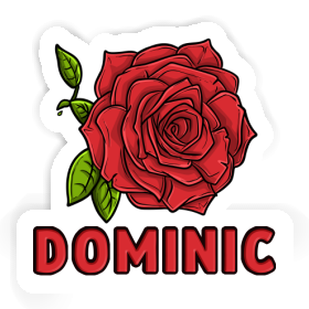 Fleur de rose Autocollant Dominic Image