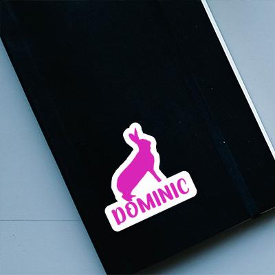 Dominic Sticker Kaninchen Gift package Image