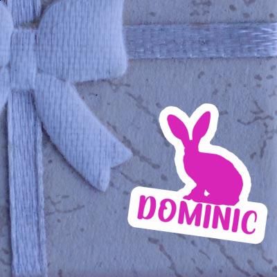 Autocollant Dominic Lapin Autocollant Dominic Lapin Image