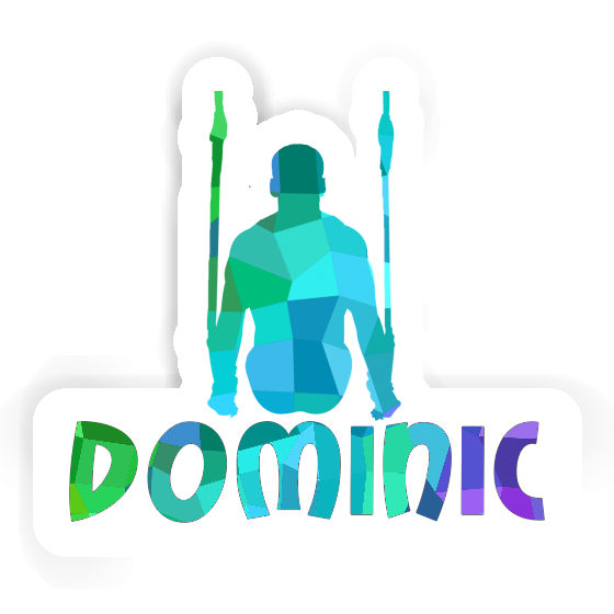 Dominic Sticker Ringturner Gift package Image