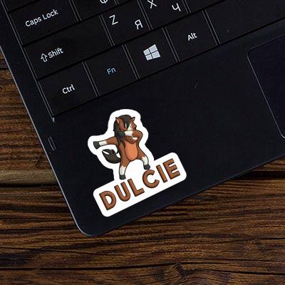 Dulcie Sticker Horse Notebook Image