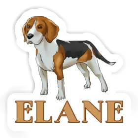 Autocollant Elane Beagle Image