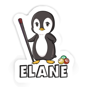 Elane Sticker Billiards Player Image