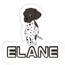 Elane Autocollant Braque Allemand Image