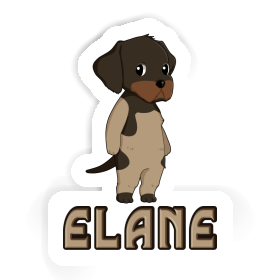 Sticker German Wirehaired Elane Image