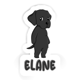 Elane Autocollant Labrador Image