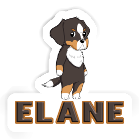 Sticker Bernese Mountain Dog Elane Image