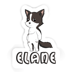 Elane Autocollant Collie border Image