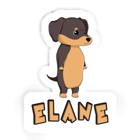 Sticker Elane Dachshund Image