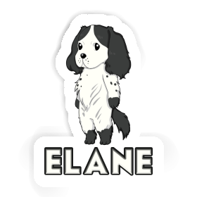 Spaniel Aufkleber Elane Image