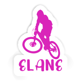 Downhiller Sticker Elane Image