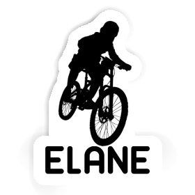 Freeride Biker Autocollant Elane Image