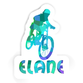 Autocollant Elane Freeride Biker Image