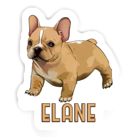 Autocollant Bouledogue Elane Image