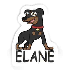 Sticker Elane Pinscher Image